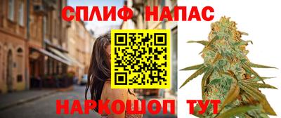 эйфоретик Кинель