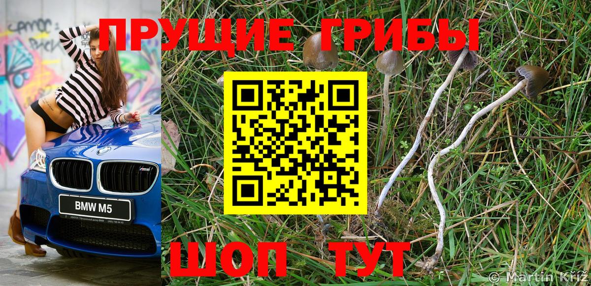Краснокаменск  Псилоцибиновые грибы ЛСД  Вход с VPN 