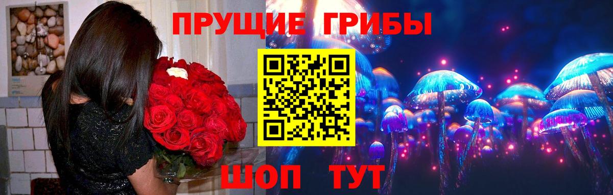 Псилоцибиновые грибы Psilocybine cubensis Краснокаменск