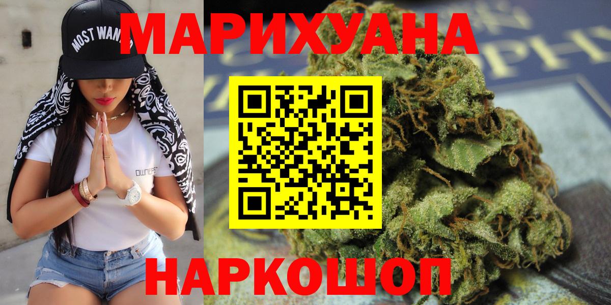 Конопля сатива Краснокаменск